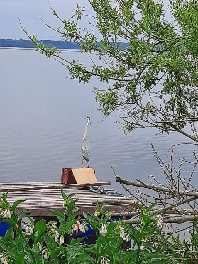Sommerhus Mosso سكاندربورغ المظهر الخارجي الصورة
